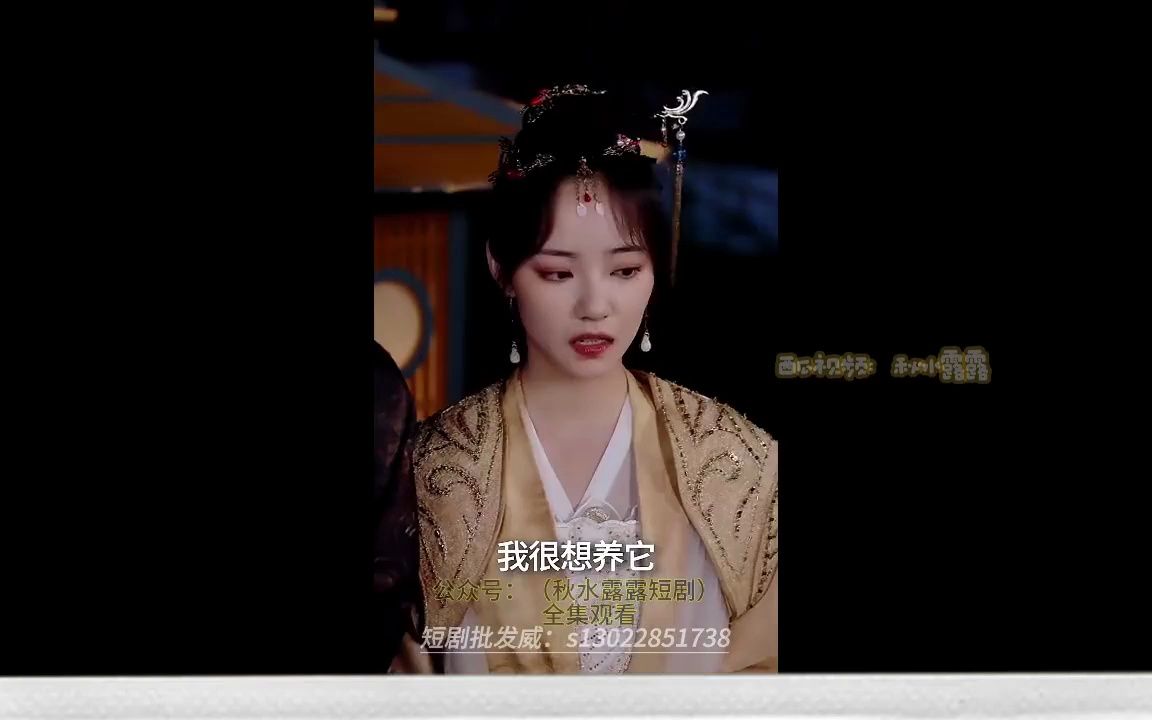 高清合集热门短剧《弃妃倾城》哔哩哔哩bilibili