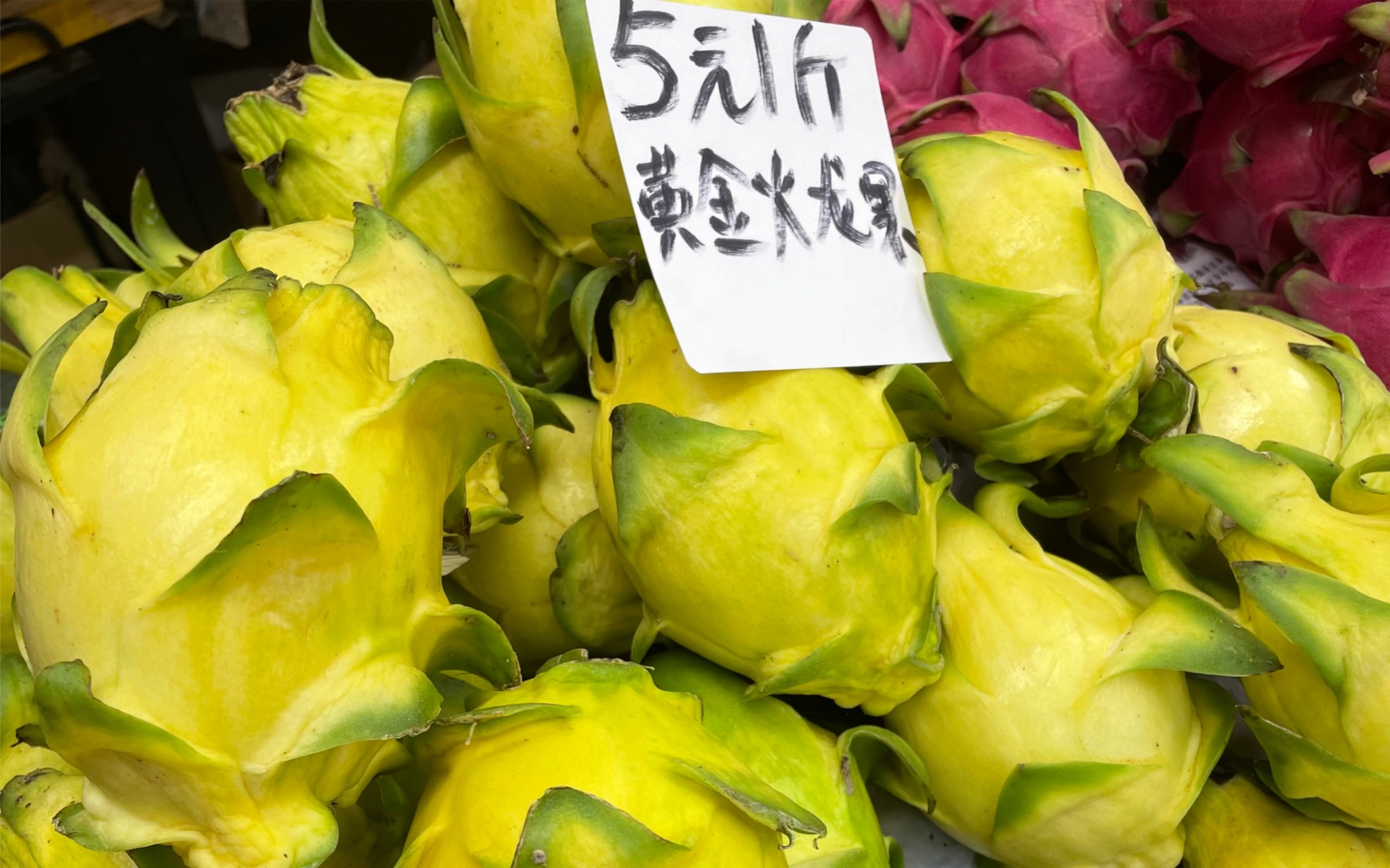活动  金色传说之黄金火龙果