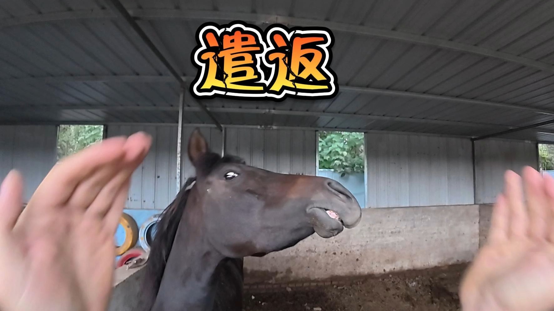 今天让鳄鱼回炉重造！