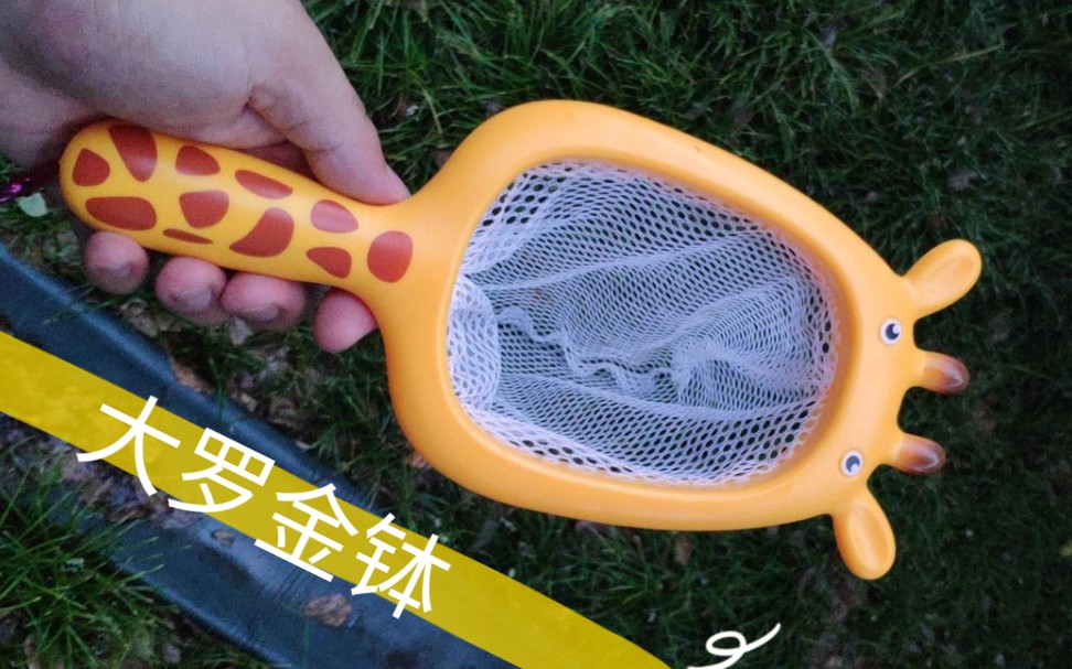 大威天龙,金钵收妖!