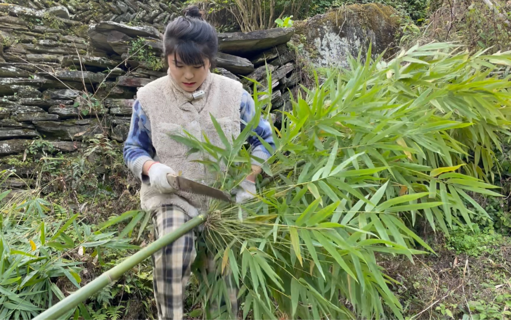 种地是最踏实最公平的事,给草莓扣个大棚,第一次盖大棚哔哩哔哩bilibili