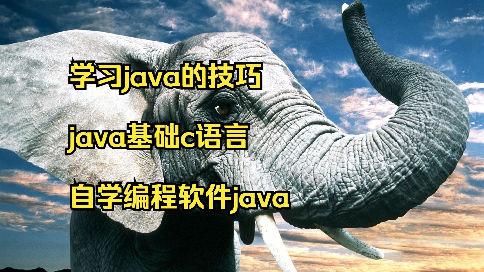 c语言学习网站，有什么学c语言的网站