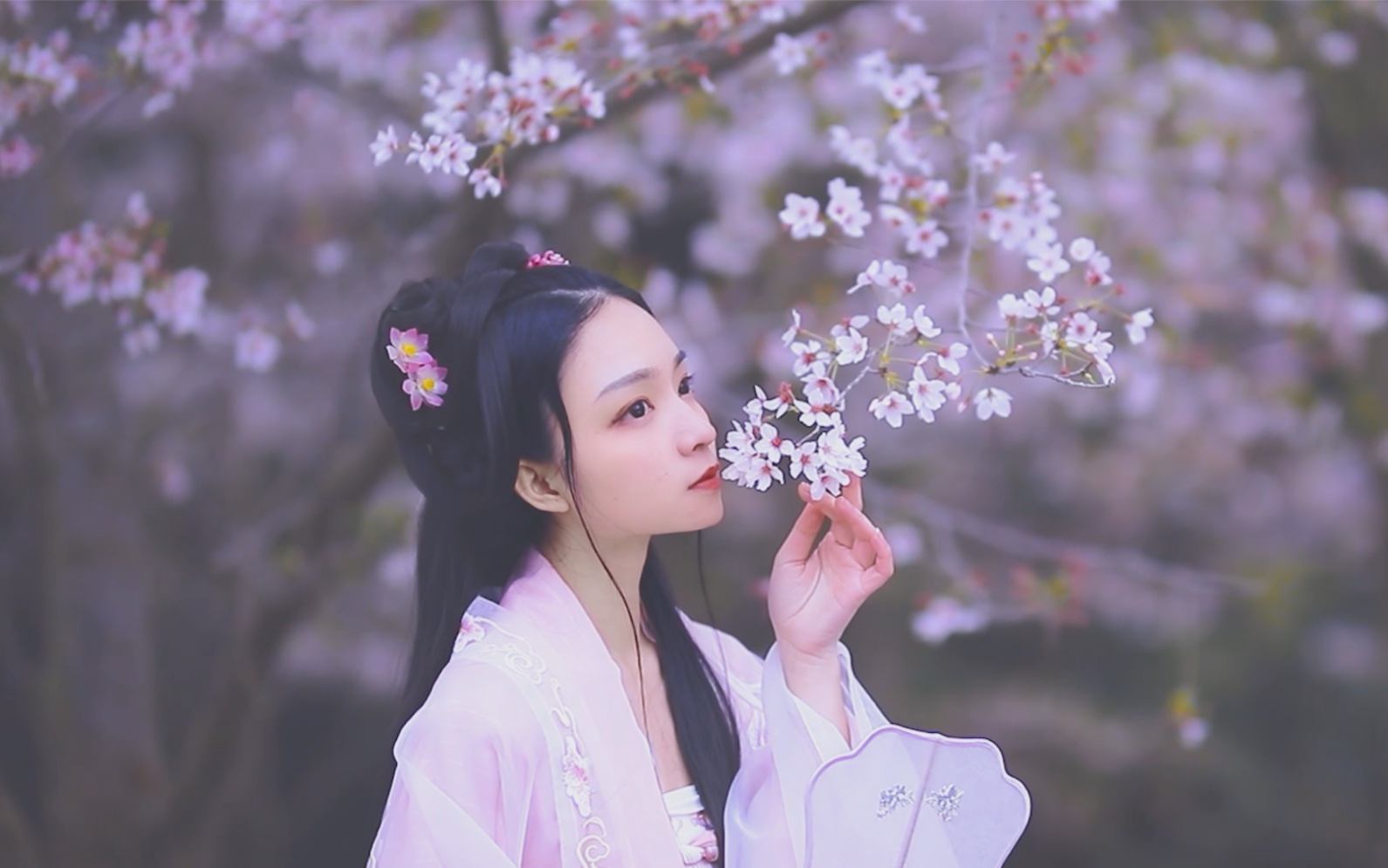【青卿】蝶恋花 猫夏小卡 原创汉服mv_哔哩哔哩_bilibili