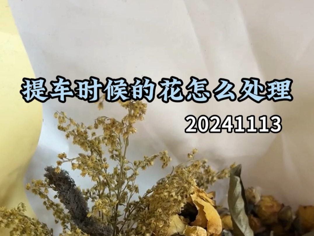 提车时候的花怎么处理哔哩哔哩bilibili