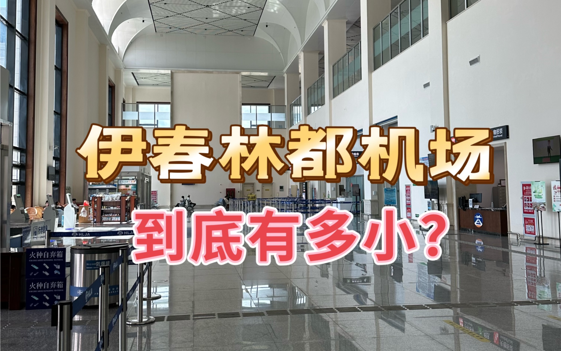 伊春林都机场(lds)