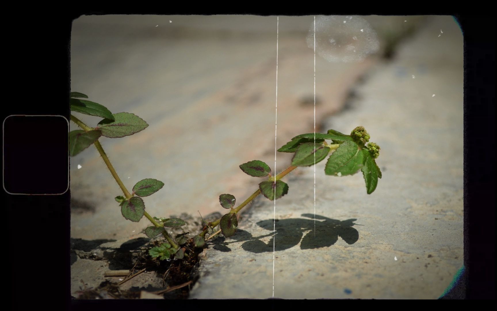 摄影作品集暗淡蓝点上发生的事