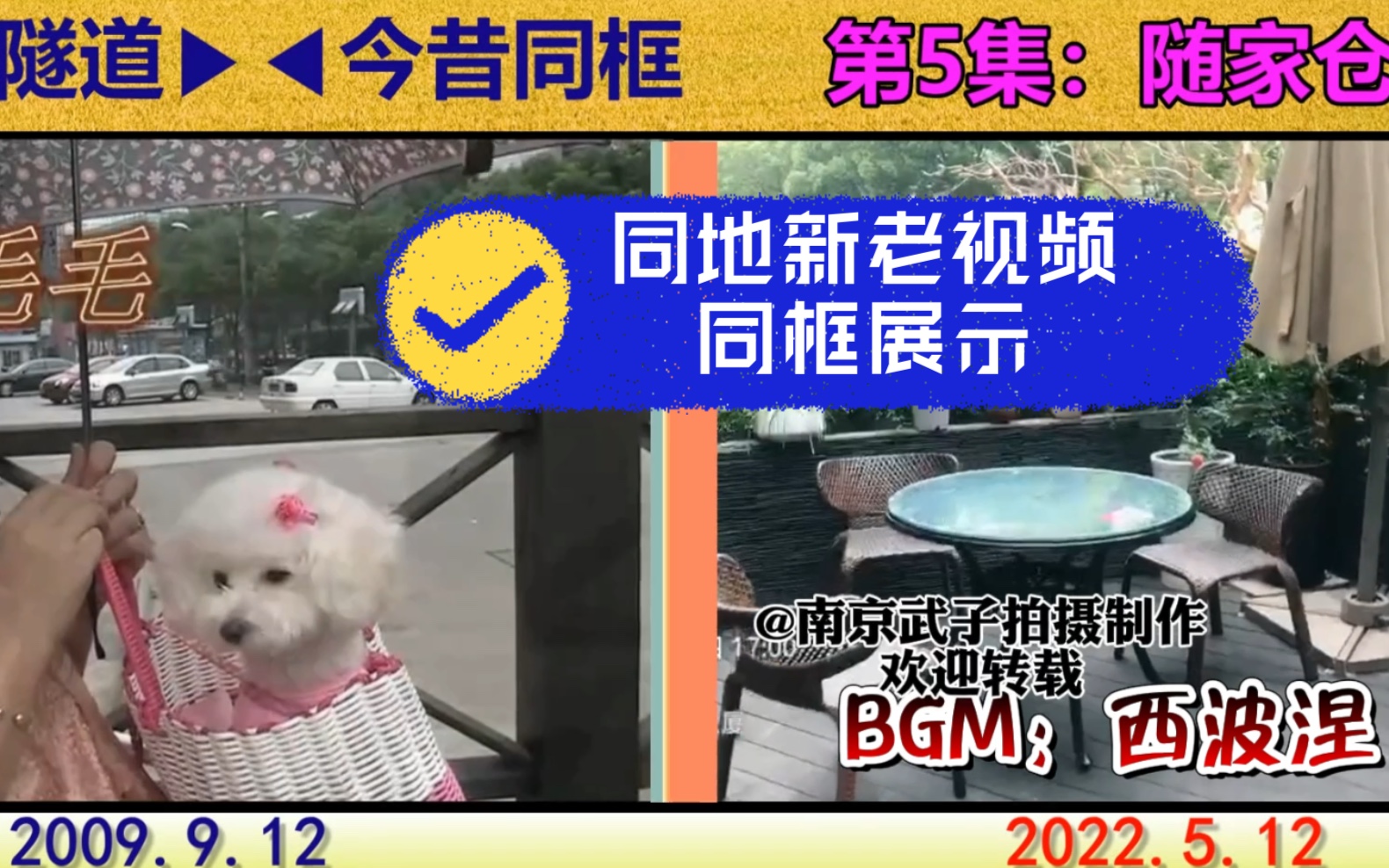 穿越13年看同框,南京随家仓,干干净净小狗在小篮里不下地,进餐厅你会很反对吗哔哩哔哩bilibili