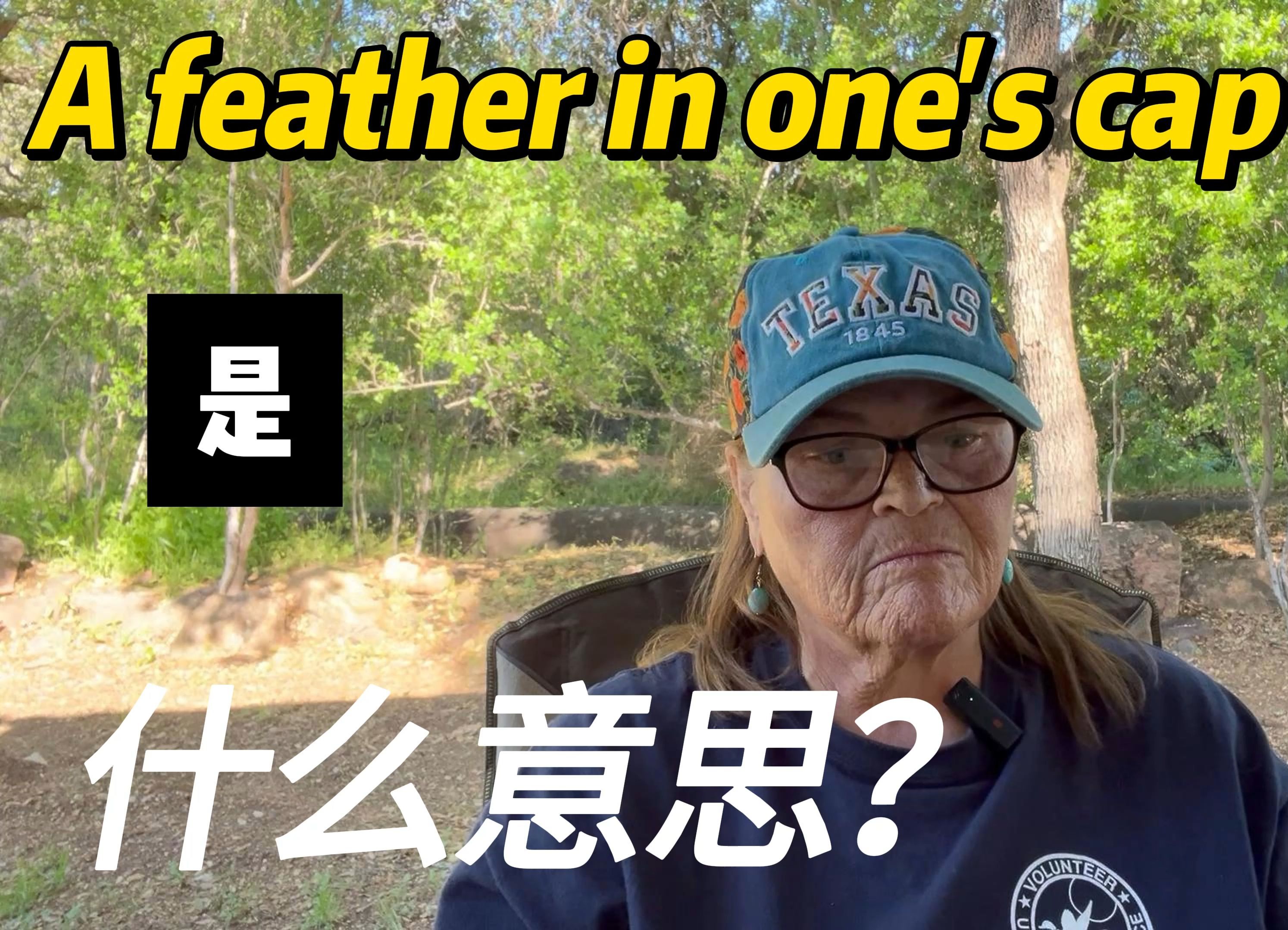 A feather in one's cap是什么意思?哔哩哔哩bilibili