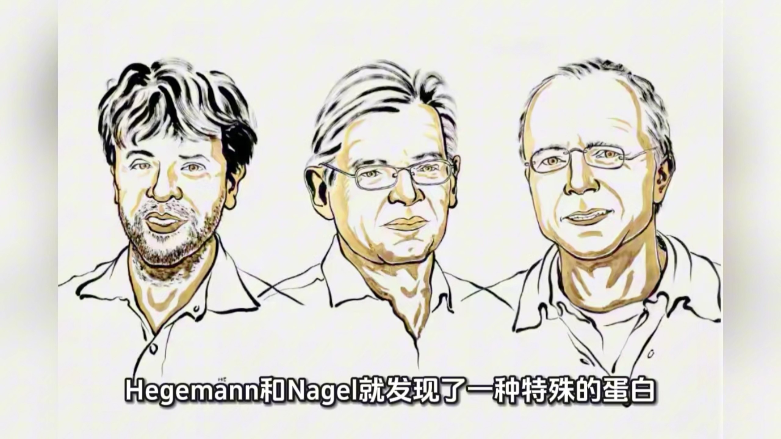 2026诺奖：光遗传学，用光控制大脑！