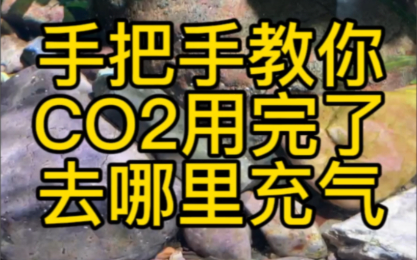 二氧化碳用完了去哪里充气?#二氧化碳#草缸#水族哔哩哔哩bilibili