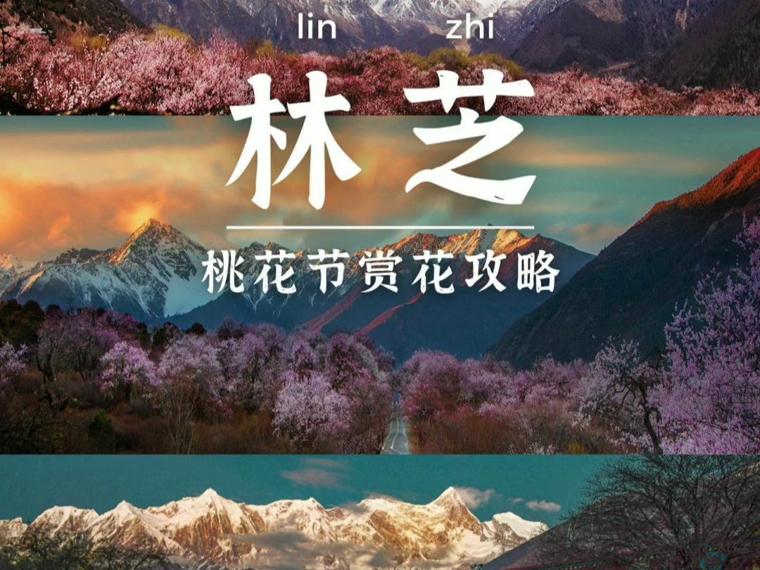 林芝桃花节各地赏花攻略哔哩哔哩bilibili