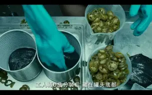 Tải video: 做罐头的工厂不知道还缺人不。钱不钱无所谓，主要想学门技术！