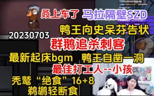 【刘小怂】20230703 鸭王向史呆芬告状；群鹅追杀刺客；最新起床bgm，自凿一洞；最佳打工人--小孩；叒上车了；秃鹫绝食，鹈鹕轻断食；马拉隔壁SZD