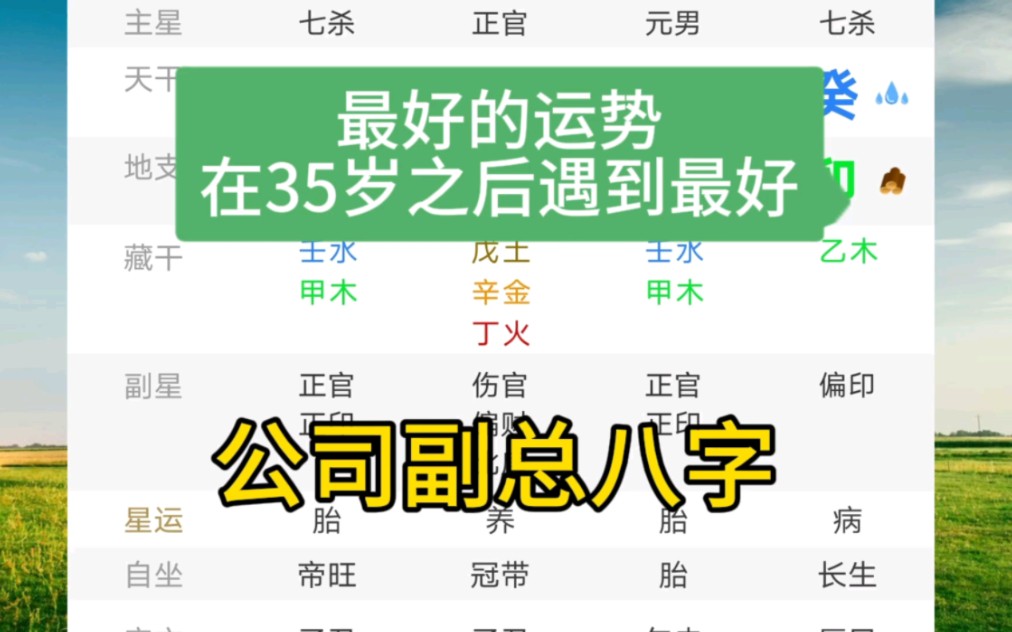 公司副总的八字哔哩哔哩bilibili