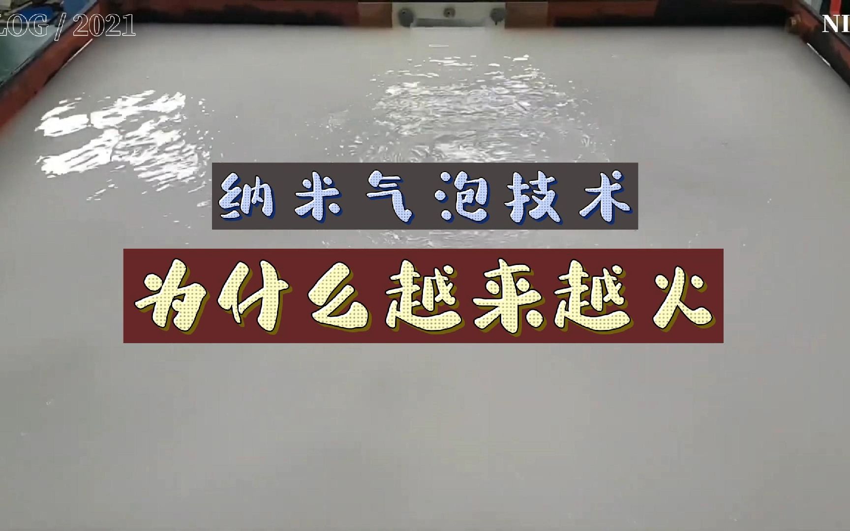 水产养殖中,纳米气泡技术火爆!原因就是这几点!哔哩哔哩bilibili