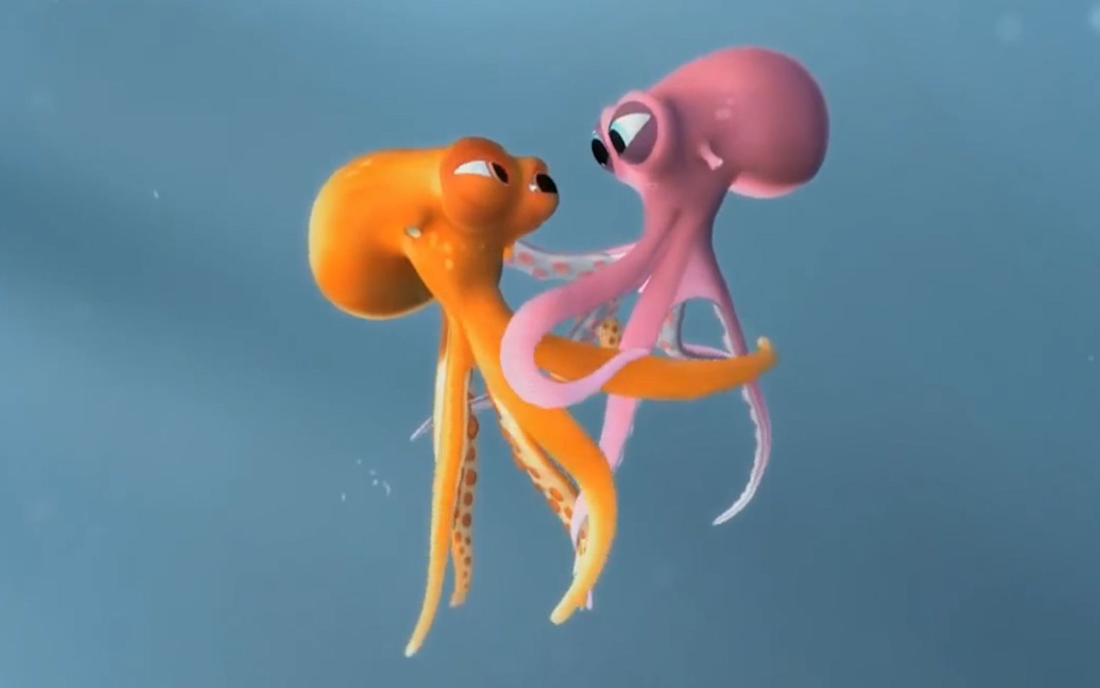 奥斯卡动画《章鱼的爱情》,看完这个,就知道什么是为爱奋不顾身