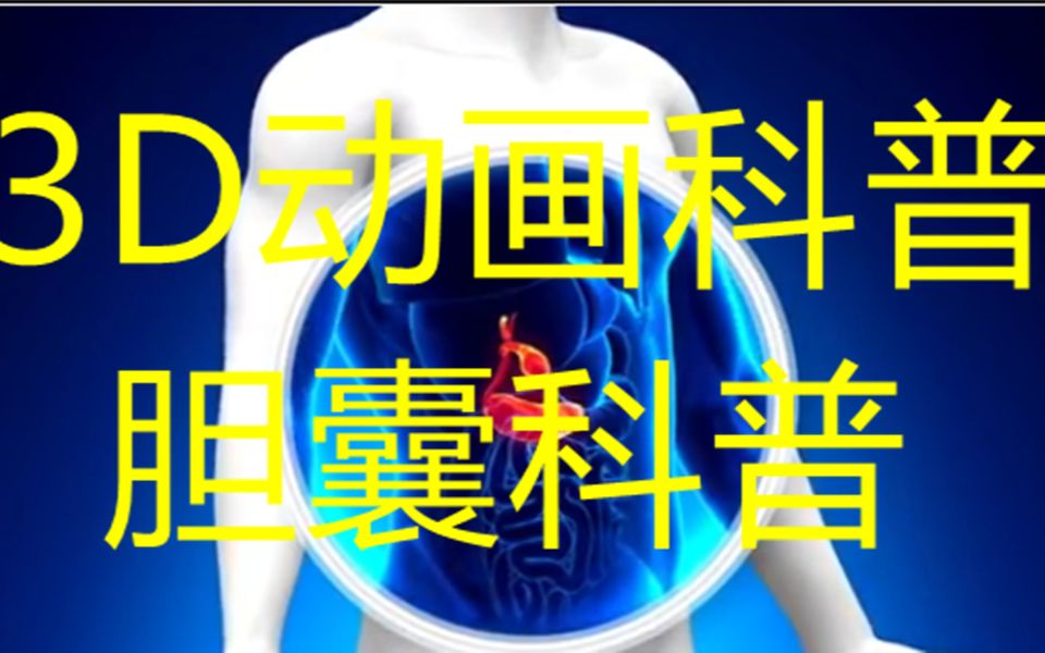 混合柠檬和苹果,看看你的胆囊会发生什么3D动画科普哔哩哔哩bilibili