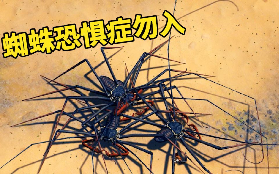 恶心到爆腿巨长巨多的虫子