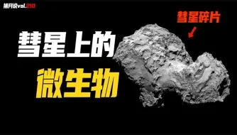 Download Video: 地球上的所有生命都可能源自外星僵尸，陨石中发现的外星生命