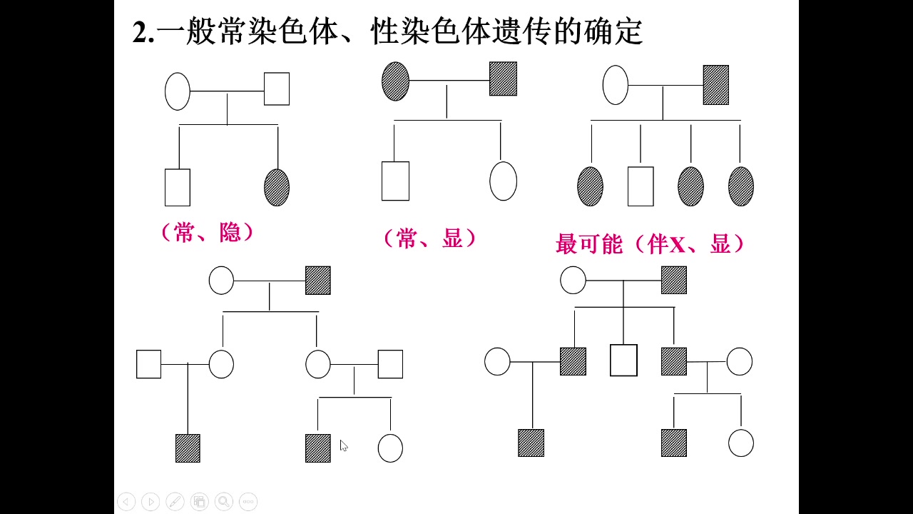 伴染色体遗传图解图片