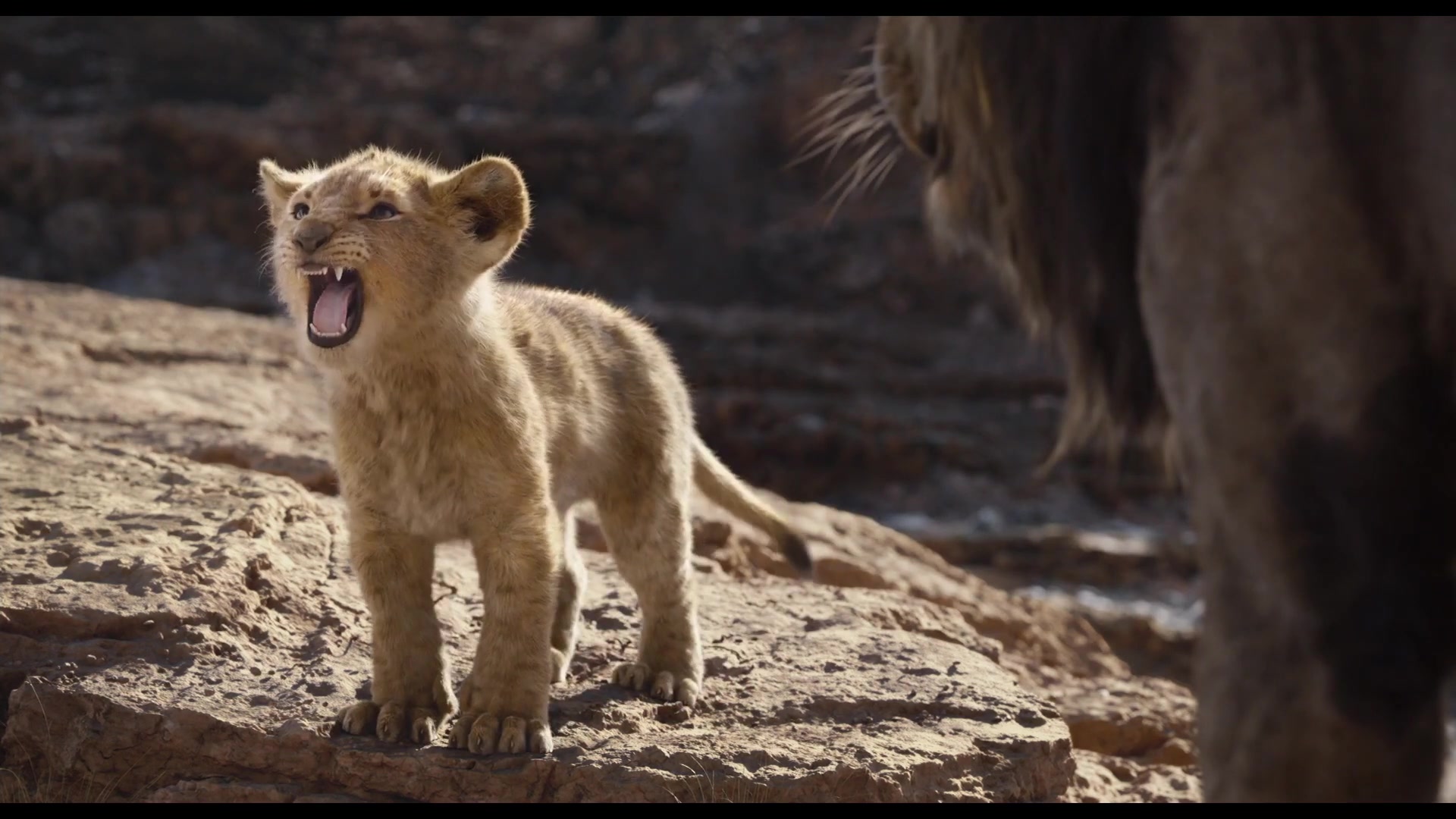 《狮子王》真人版预告——找到你的咆哮