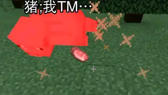 当你用手柄玩我的世界