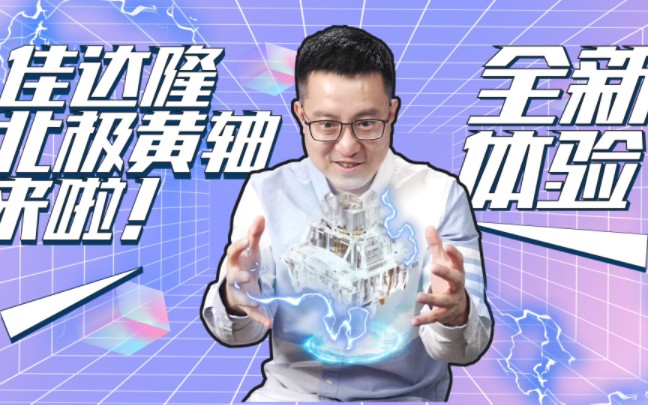 佳达隆北极黄轴全新体验来啦!哔哩哔哩bilibili