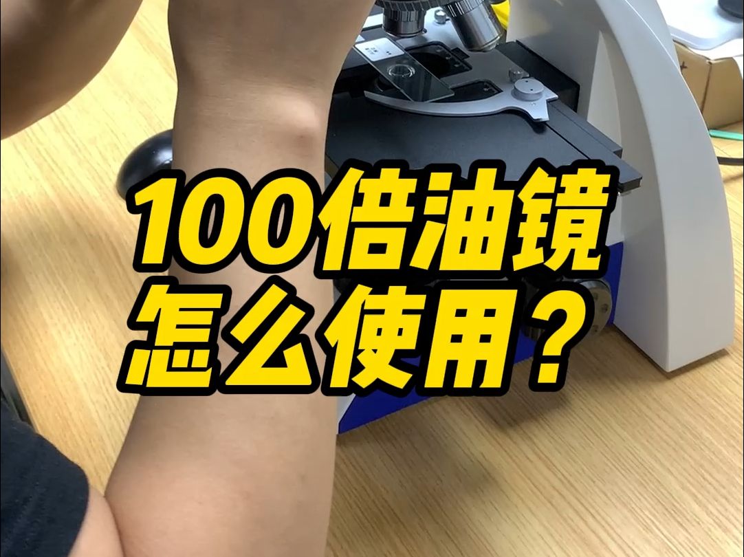 显微镜100倍油镜怎么使用?哔哩哔哩bilibili