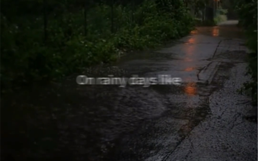 [图]雨天极致的氛围感｛rainy days｝