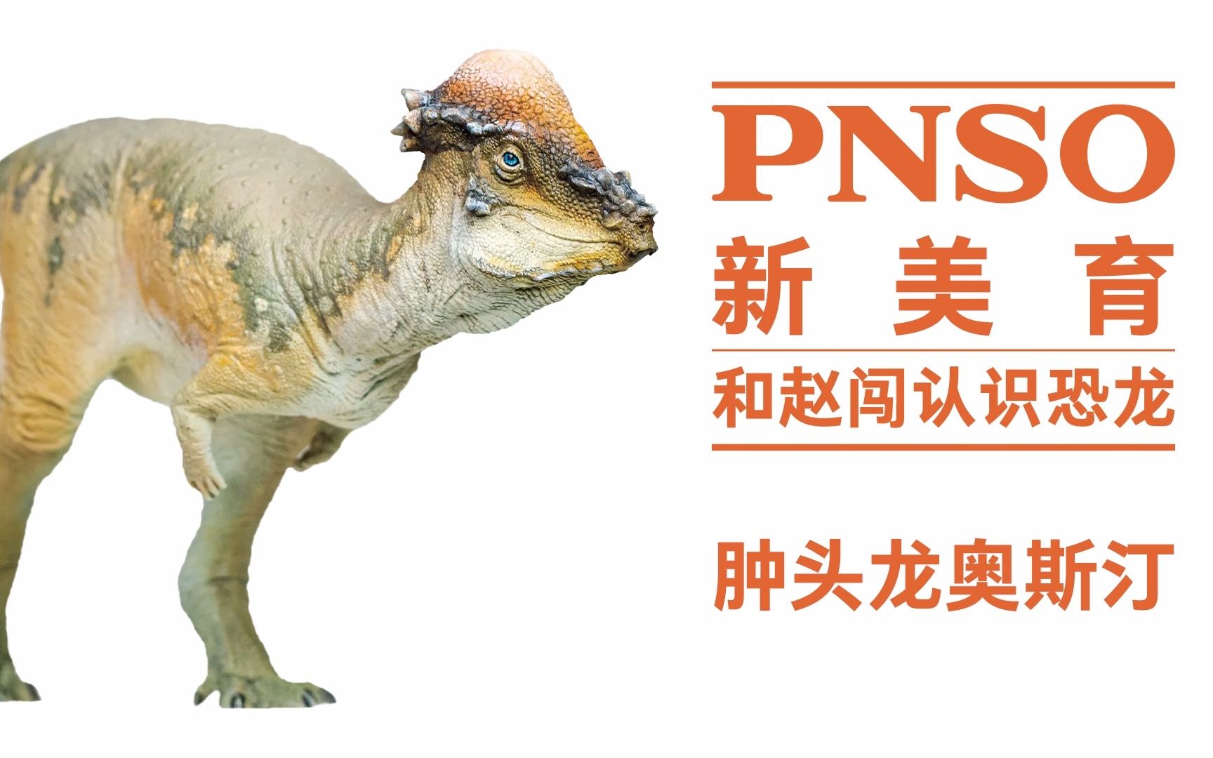 和赵闯认识恐龙:肿头龙奥斯汀