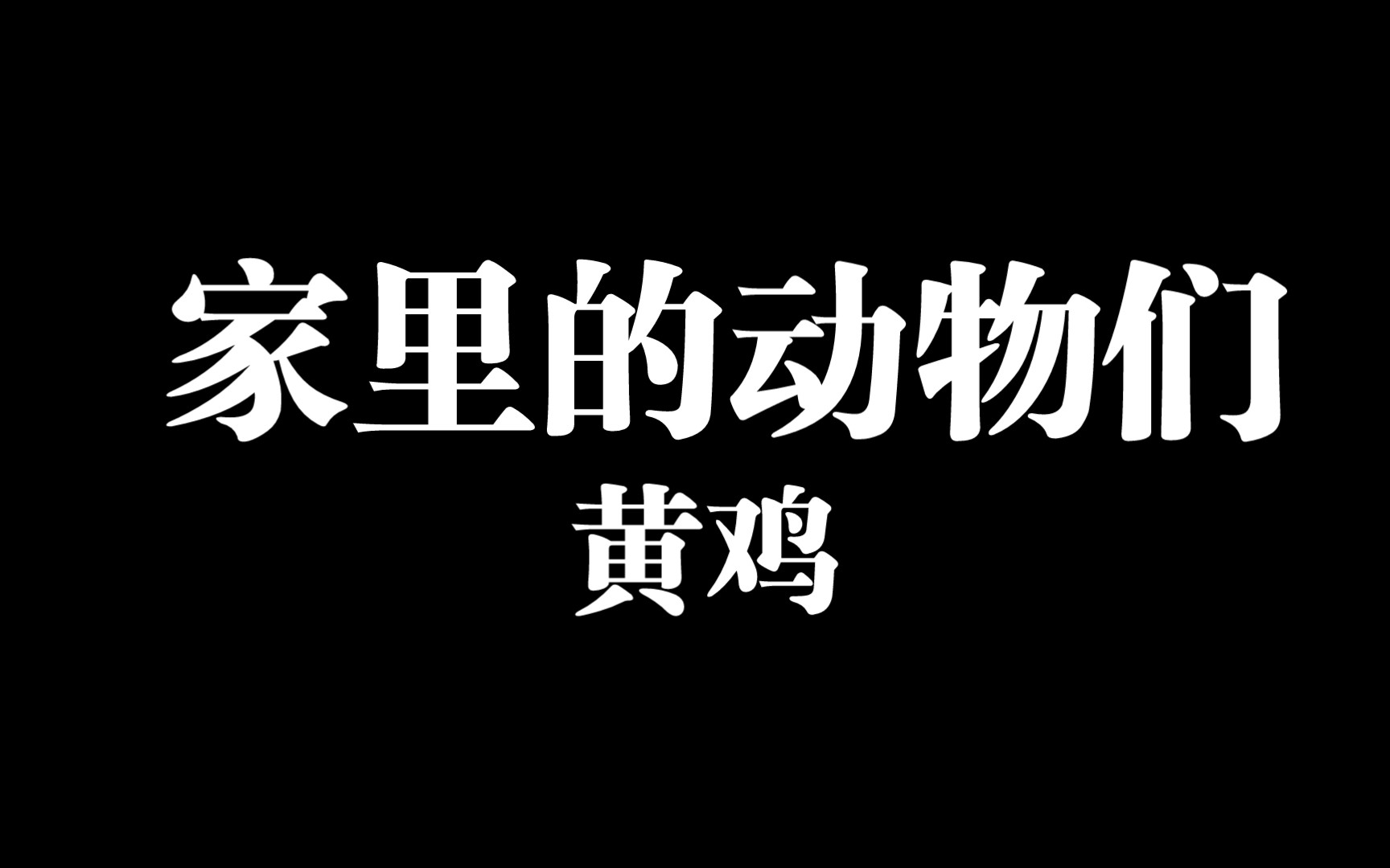 家里的动物们 黄鸡哔哩哔哩bilibili