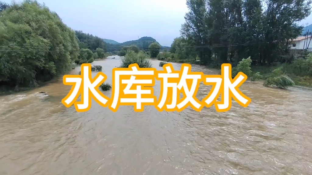 咆哮而出!水库开闸放水