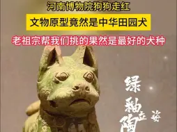 Video herunterladen: 河南博物院狗狗走红，原型竟然是中华田园犬！