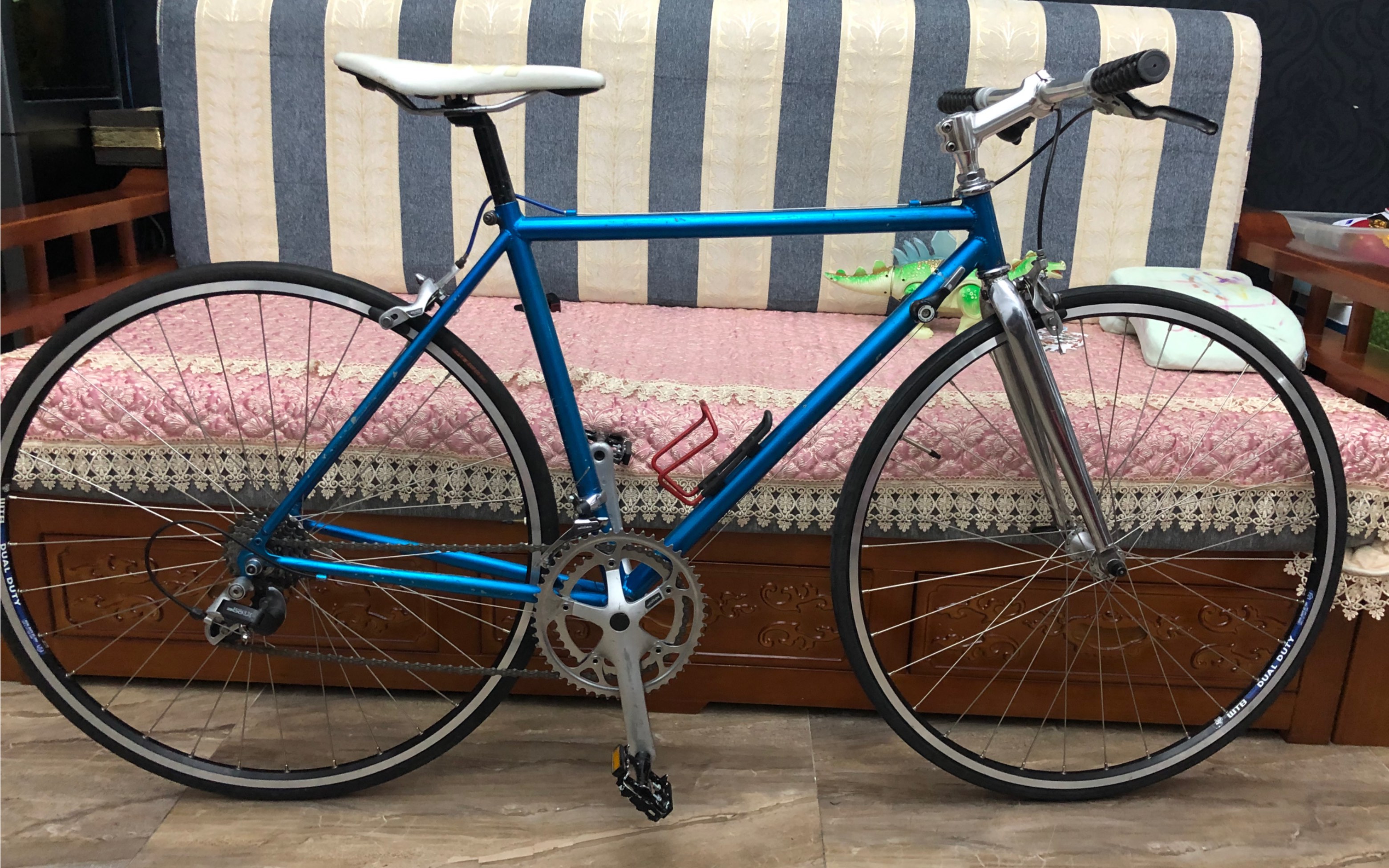 大名公路车,快30年的老车