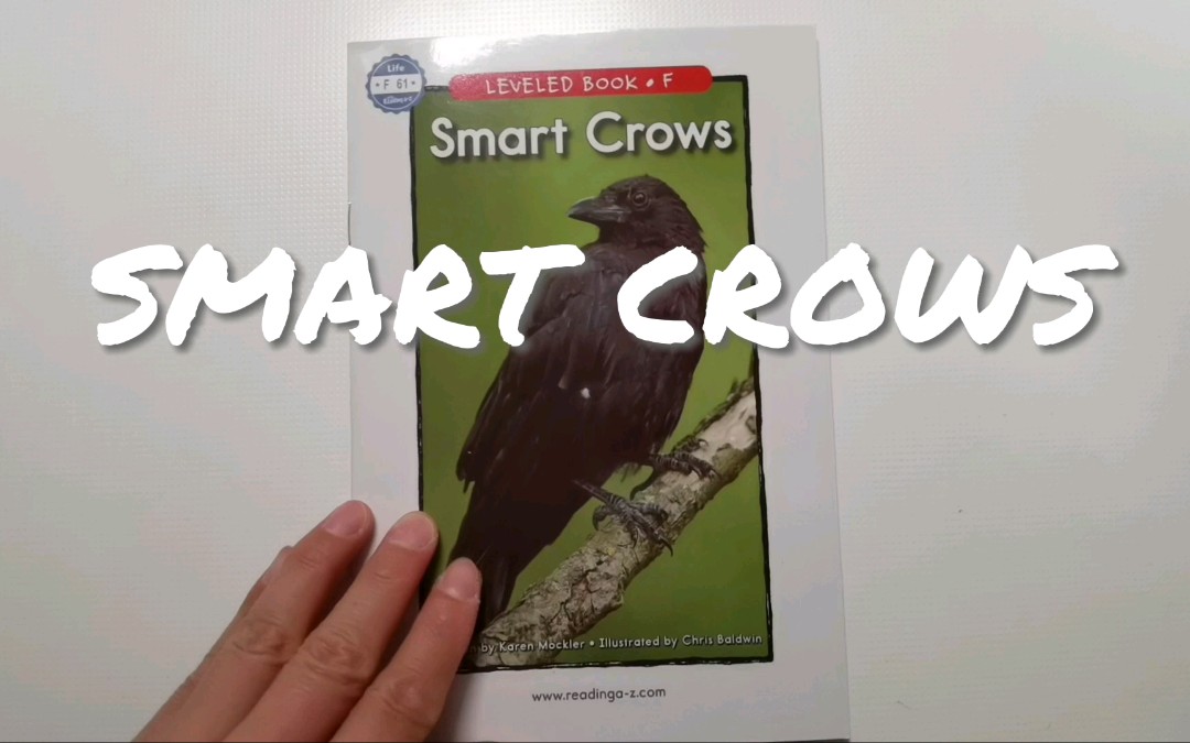 英语日常阅读打卡|《Smart Crows》哔哩哔哩bilibili