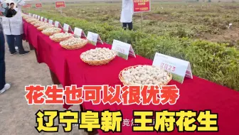 阜新的花生有多好呢 用过鲁花花生油吗