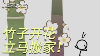 竹子开花，立马搬家？！竹子开花有那么可怕吗？