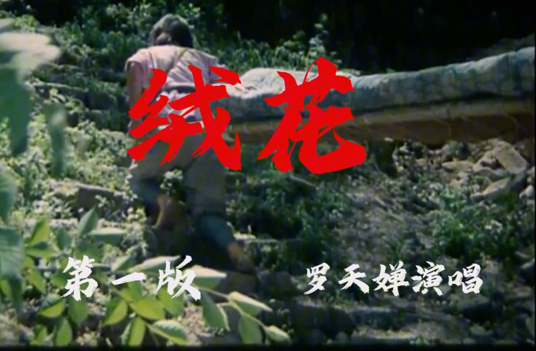 电影《小花》插曲绒花 罗天婵和李谷一版本对比