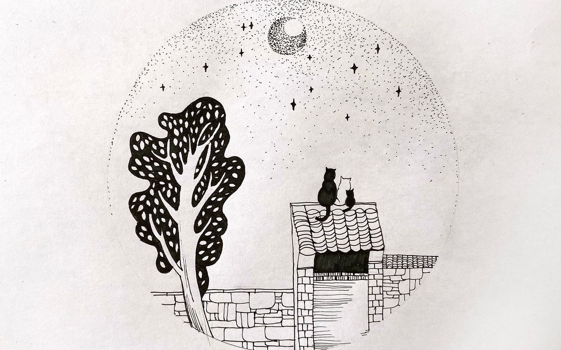 【5-8岁黑白装饰画】坚果屋微课堂|猫咪星空