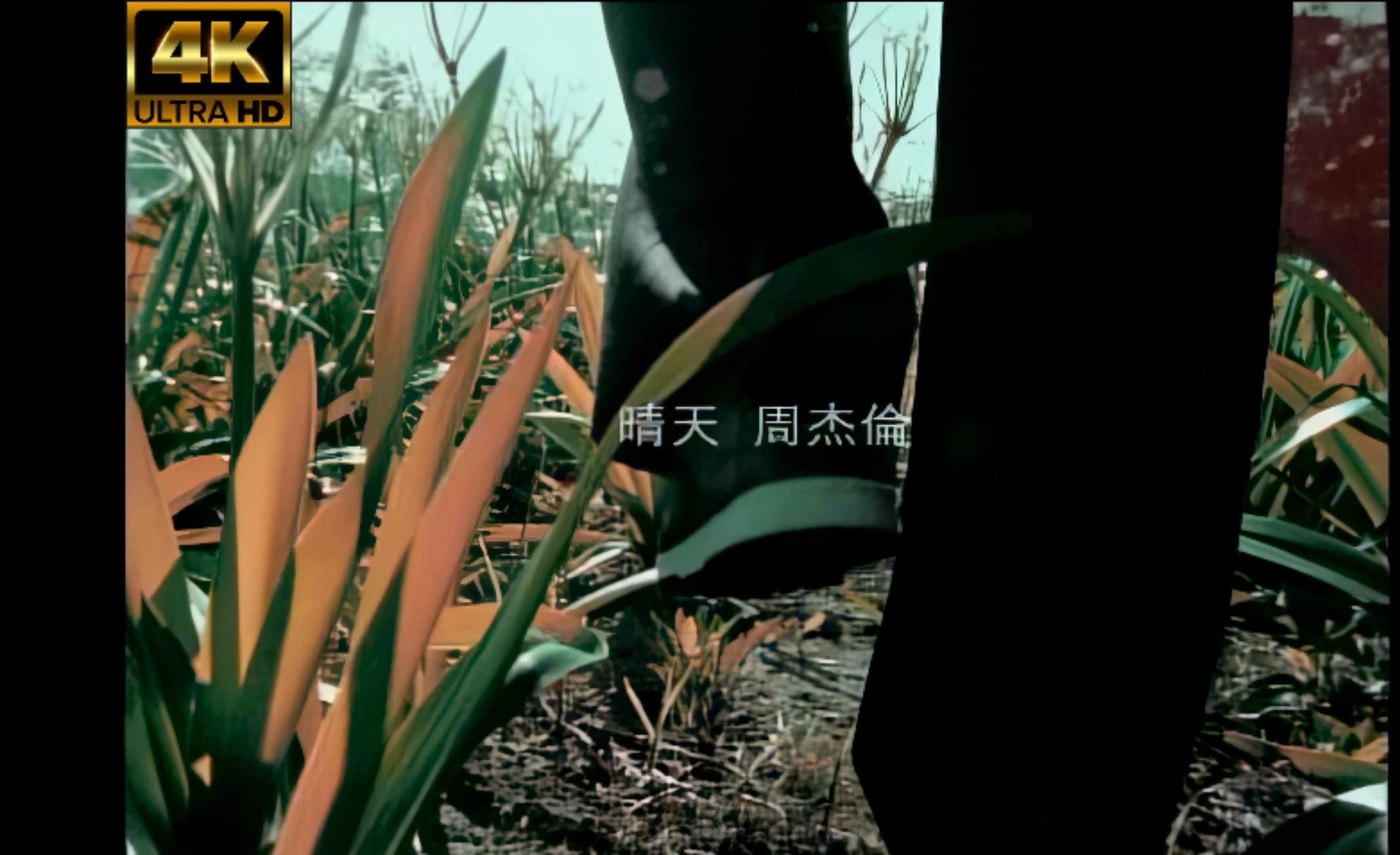 【4K珍藏】周杰伦《晴天》MV,4K,3840X2160,60帧,极清修复哔哩哔哩bilibili