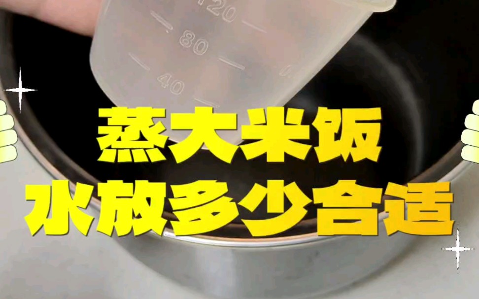 蒸米饭放多少水合适?三种方法一分钟学会 比例法、手指法、刻度法 #蒸米饭 #生活小妙招 #小妙招哔哩哔哩bilibili