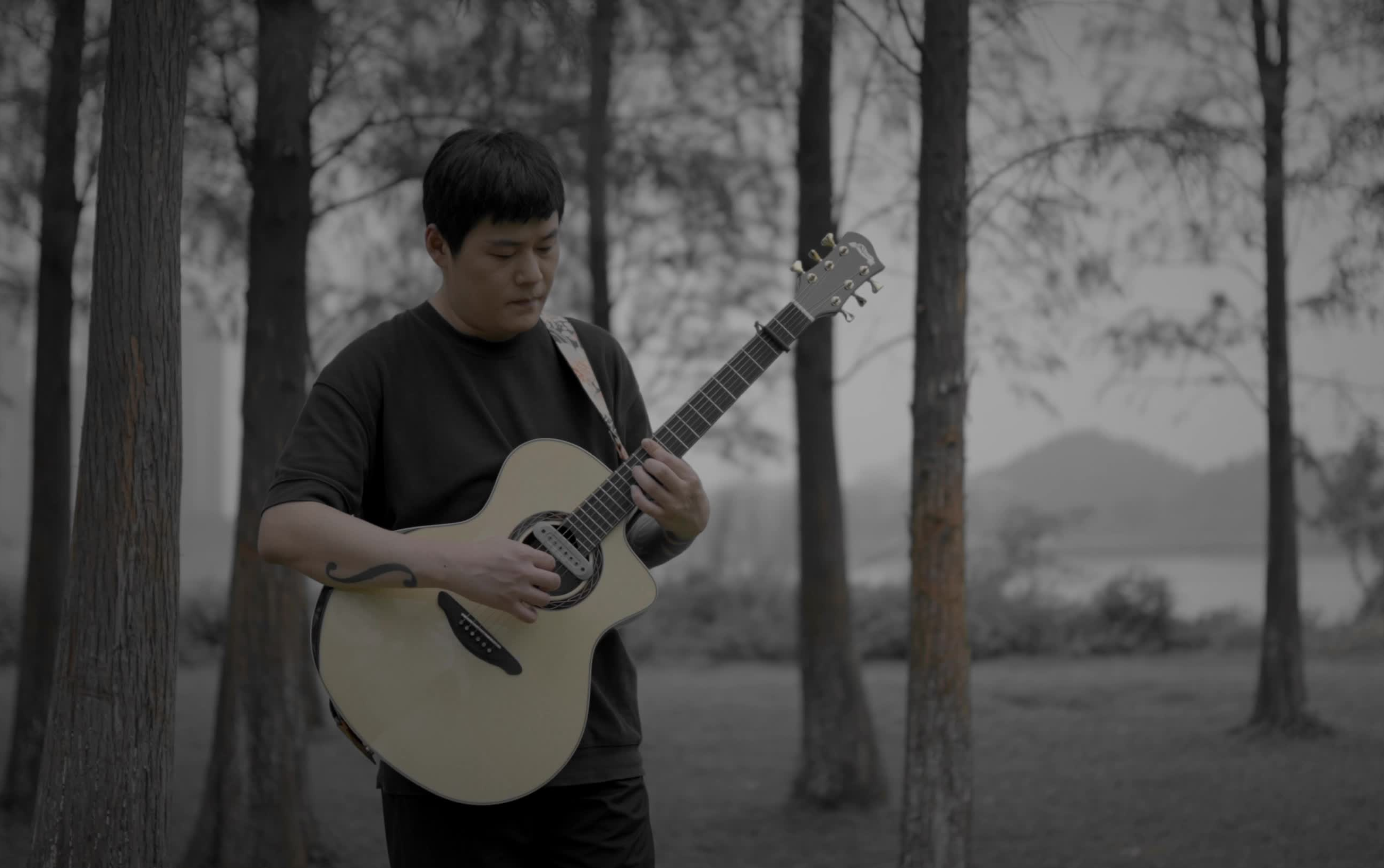 《娑罗双树》mv-何雨田-acoustic painting