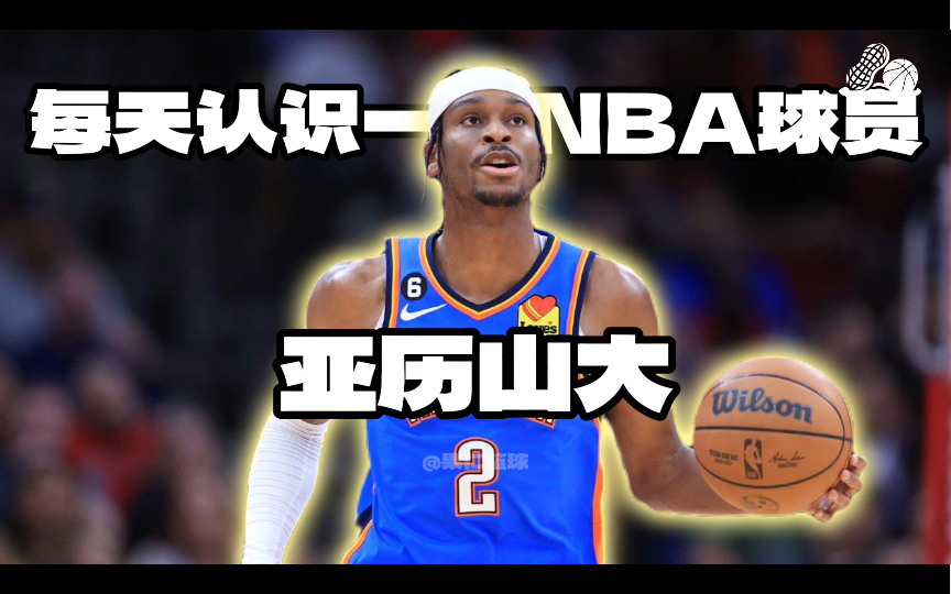 【每天认识一位NBA球员】亚历山大哔哩哔哩bilibili