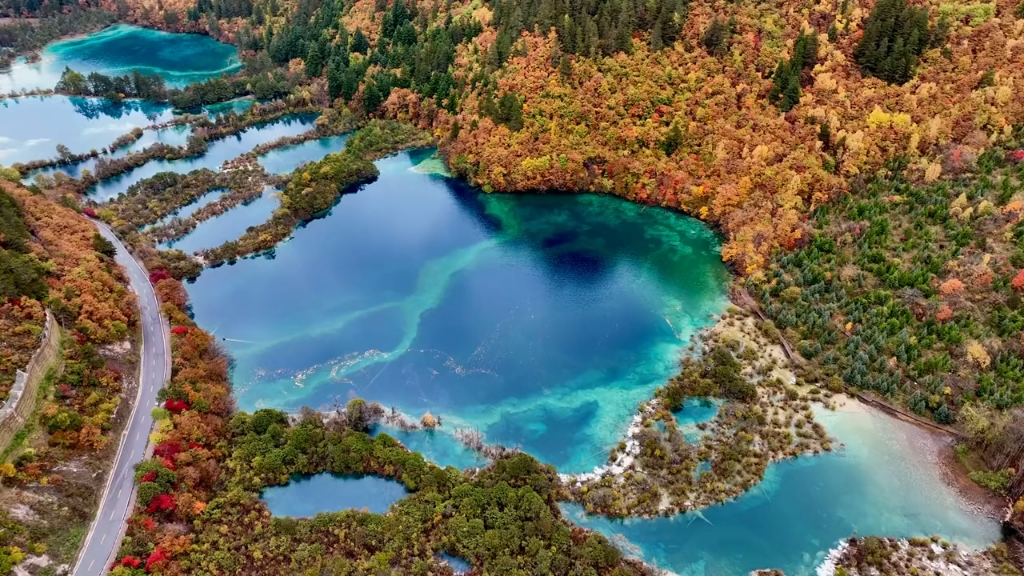 空中看九寨沟 秋天的树正群海