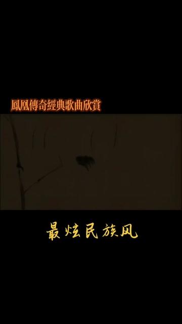 鳳凰傳奇經典歌曲 #最炫民族風 #回味經典 #民族的才是世界的 #禾聽