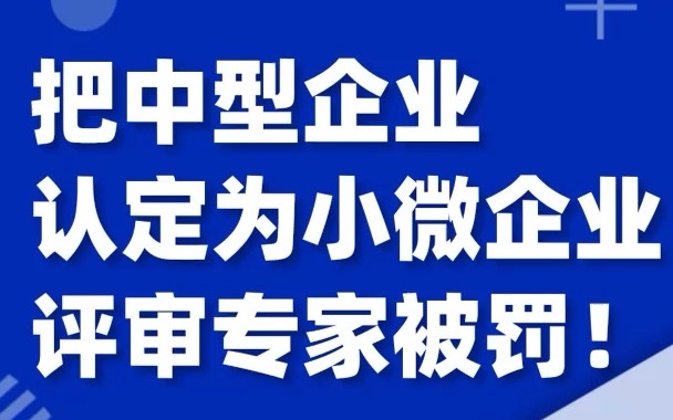 把中型企业供应商认定为小微企业,还给了10%的价格优惠扣除,评审专家被罚!哔哩哔哩bilibili