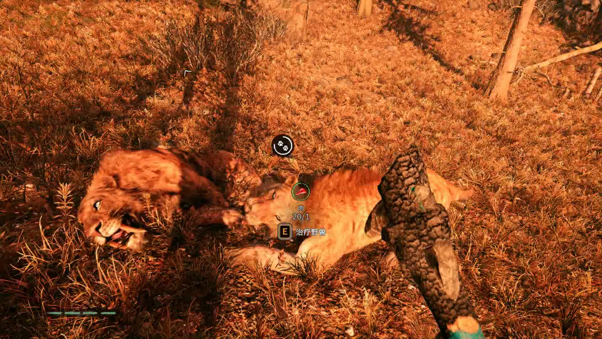 孤岛惊魂原始杀戮捕猎巨大麋鹿