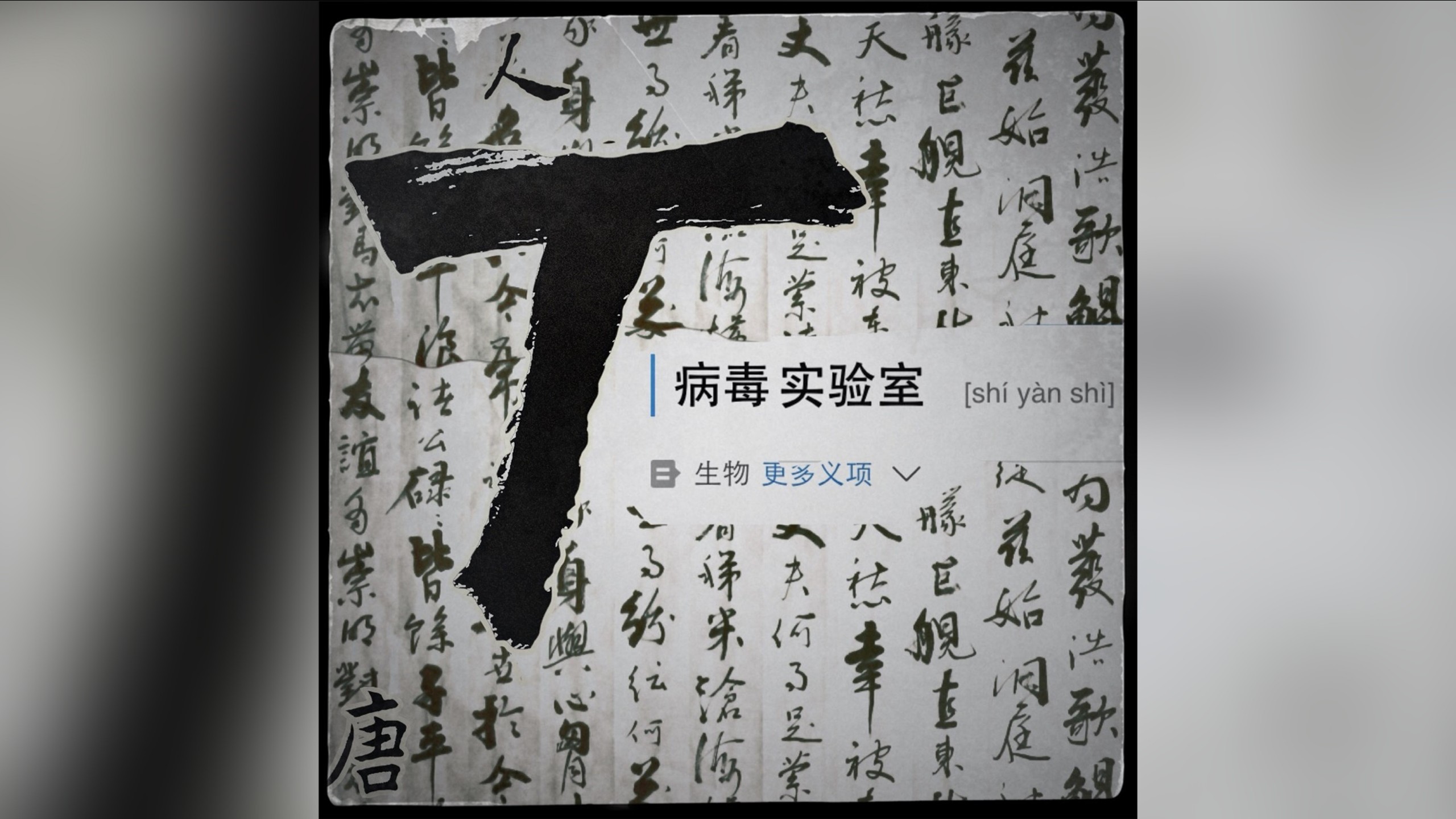 T病毒实验室