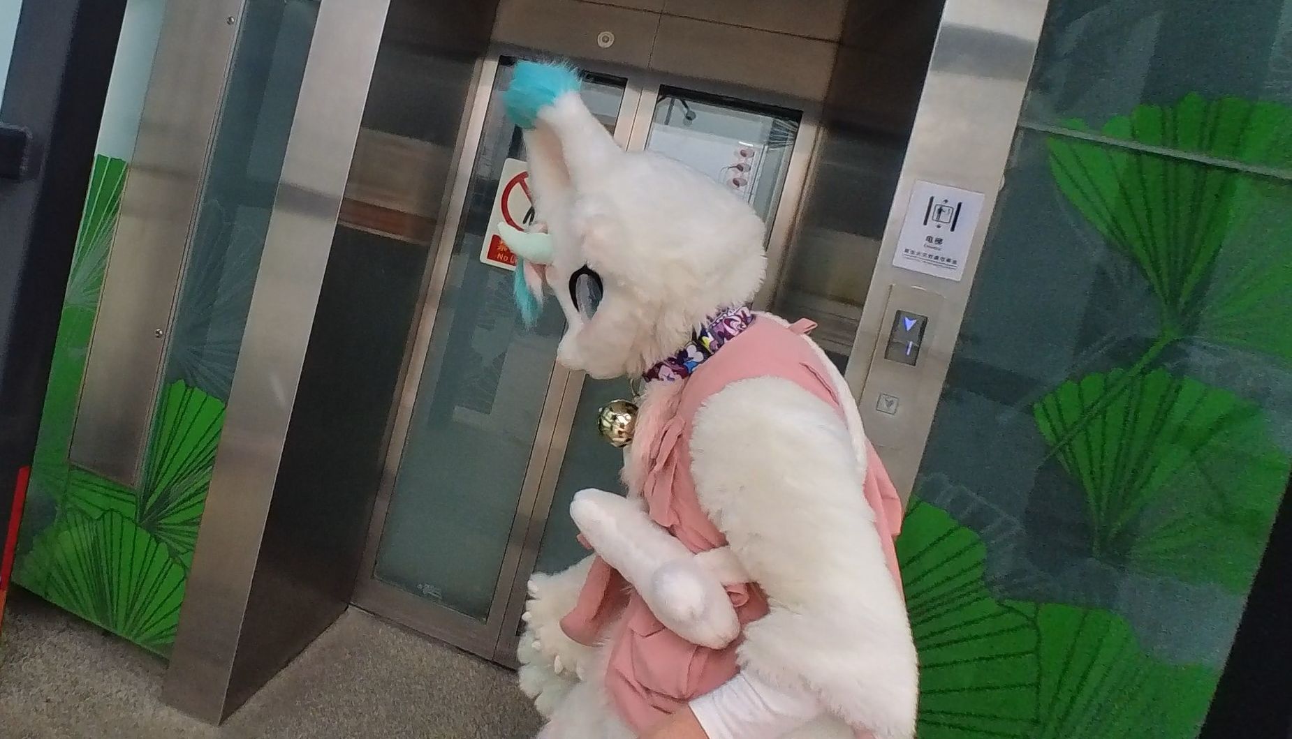 【Fursuit】两只毛毛勇闯成都地铁!!2024.2 洛洛&琥珀8号线出毛记录哔哩哔哩bilibili