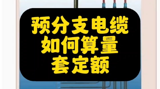 预分支电缆如何算量和套价套定额【水木造价】0基础学广联达,0基础学造价,志建学预算,水木造价哔哩哔哩bilibili